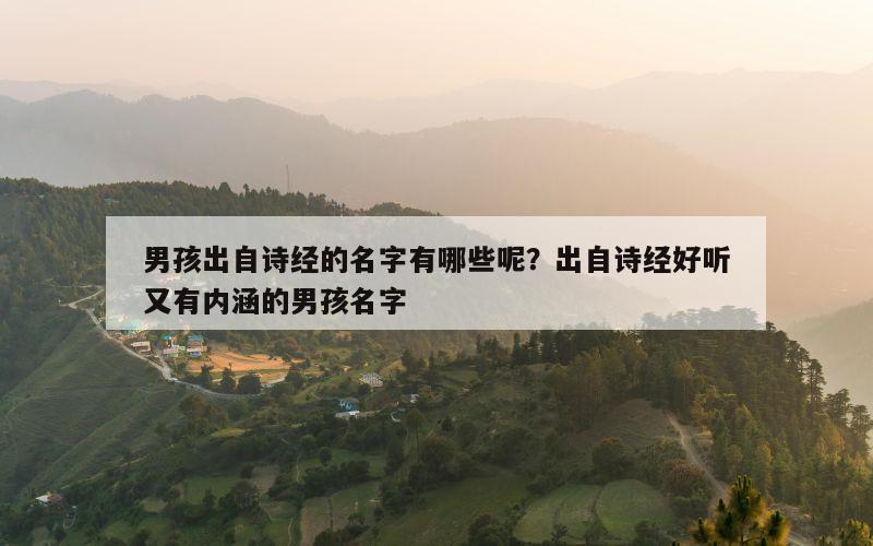男孩出自诗经的名字有哪些呢？出自诗经好听又有内涵的男孩名字