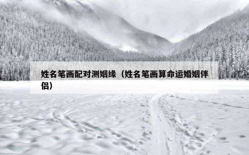 姓名笔画配对测姻缘（姓名笔画算命运婚姻伴侣）