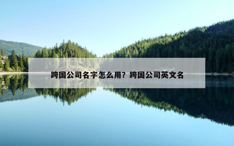 跨国公司名字怎么用？跨国公司英文名