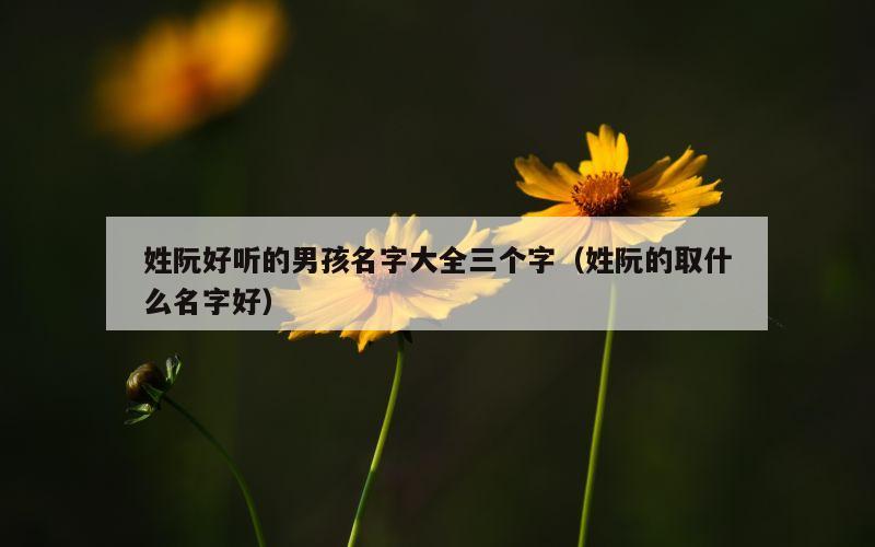姓阮好听的男孩名字大全三个字（姓阮的取什么名字好）