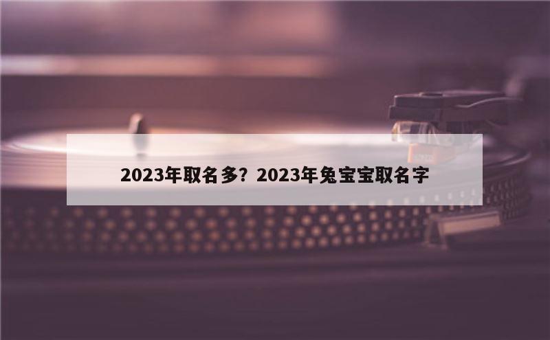 2023年取名多？2023年兔宝宝取名字