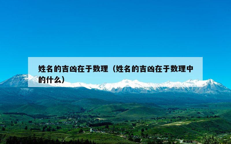 姓名的吉凶在于数理（姓名的吉凶在于数理中的什么）