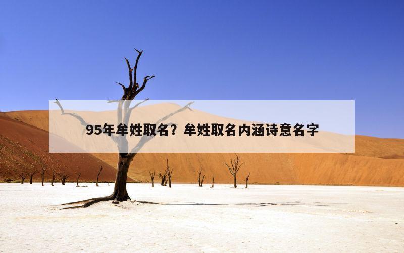 95年牟姓取名？牟姓取名内涵诗意名字