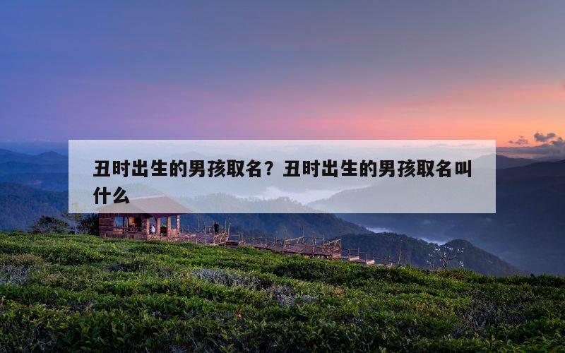 丑时出生的男孩取名？丑时出生的男孩取名叫什么