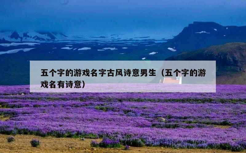 五个字的游戏名字古风诗意男生（五个字的游戏名有诗意）
