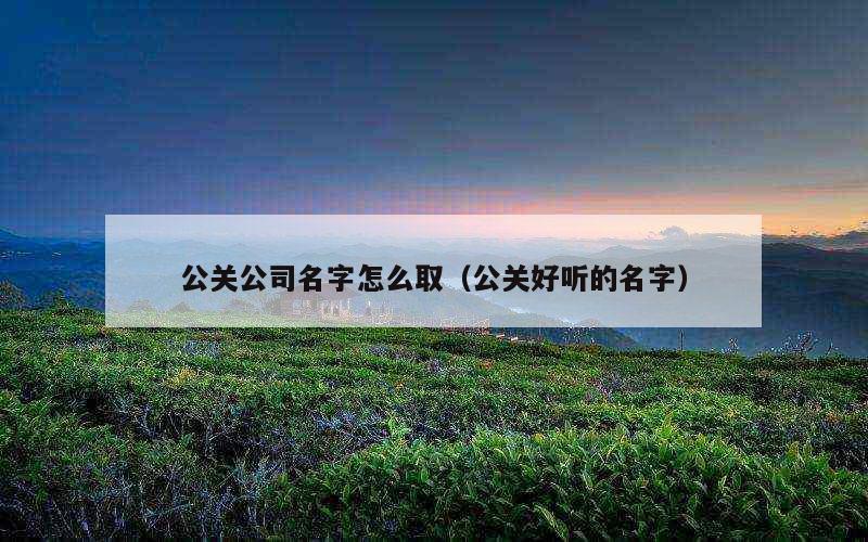 公关公司名字怎么取（公关好听的名字）