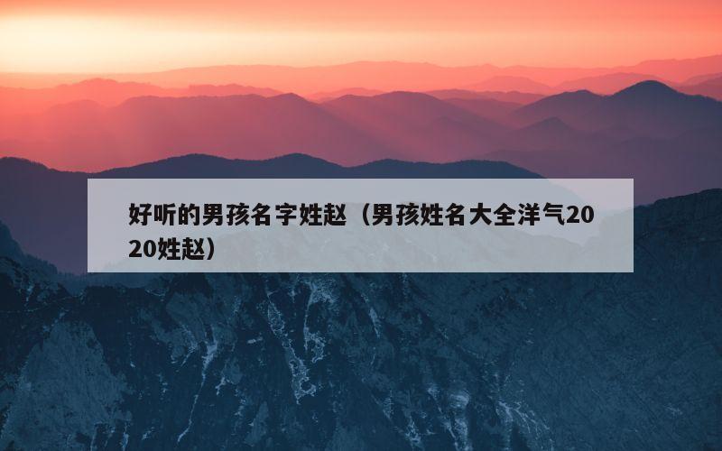 好听的男孩名字姓赵（男孩姓名大全洋气2020姓赵）