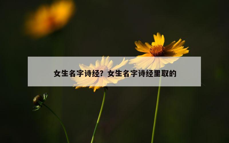 女生名字诗经？女生名字诗经里取的