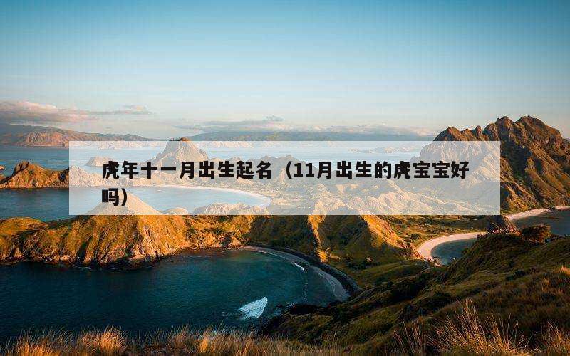 虎年十一月出生起名（11月出生的虎宝宝好吗）