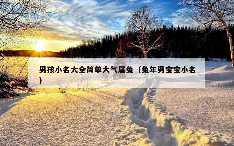 男孩小名大全简单大气属兔（兔年男宝宝小名）