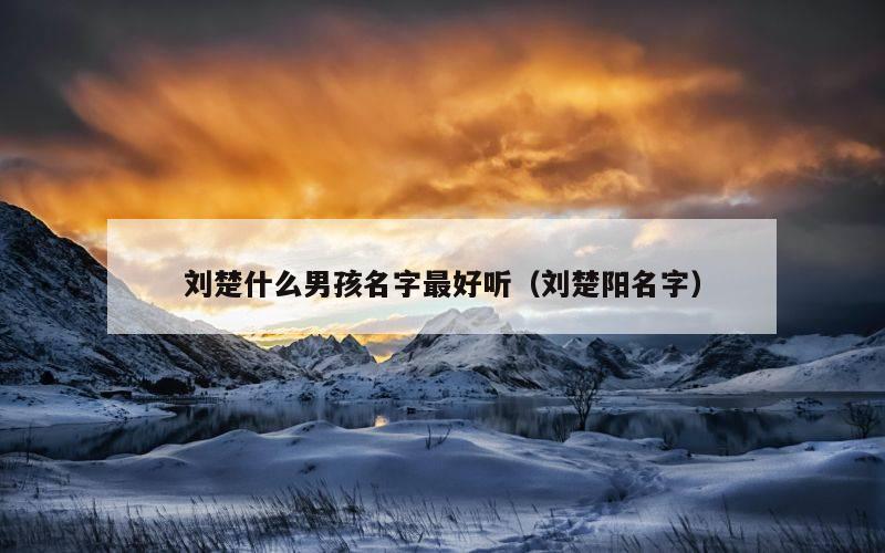 刘楚什么男孩名字最好听（刘楚阳名字）