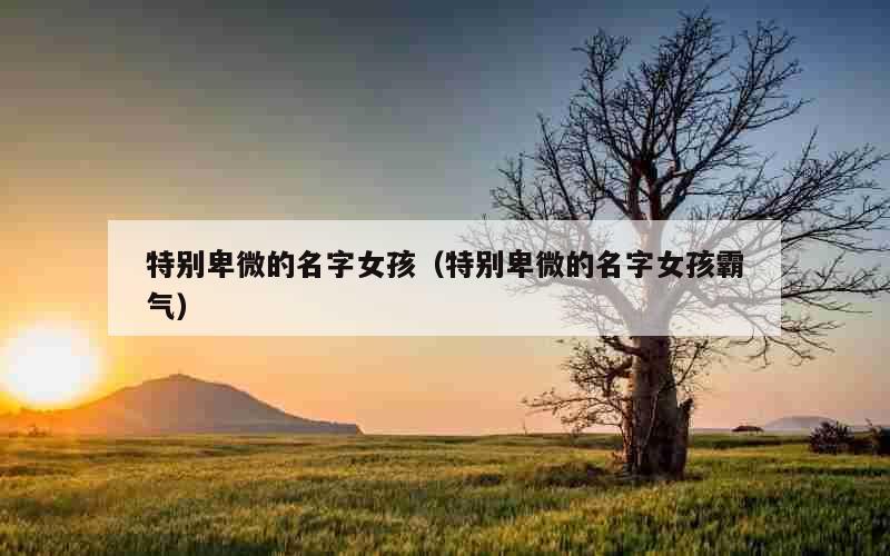 特别卑微的名字女孩（特别卑微的名字女孩霸气）