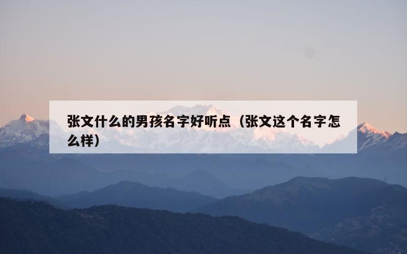 张文什么的男孩名字好听点（张文这个名字怎么样）