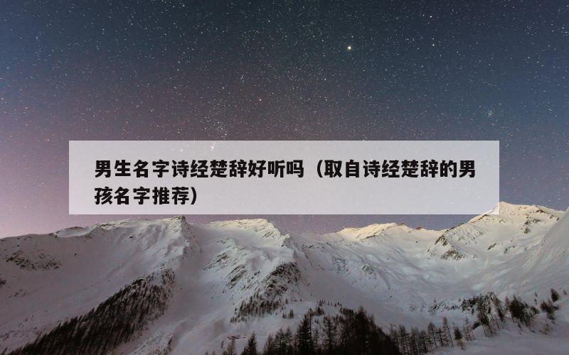 男生名字诗经楚辞好听吗（取自诗经楚辞的男孩名字推荐）