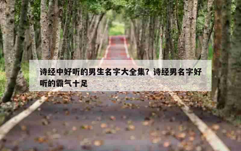 诗经中好听的男生名字大全集？诗经男名字好听的霸气十足