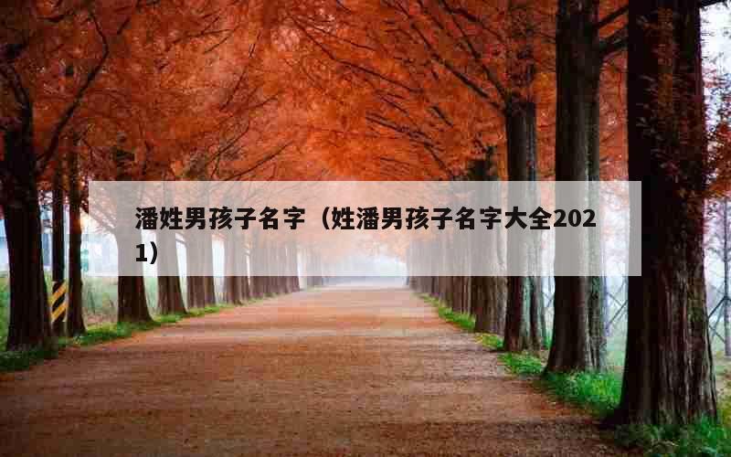 潘姓男孩子名字（姓潘男孩子名字大全2021）