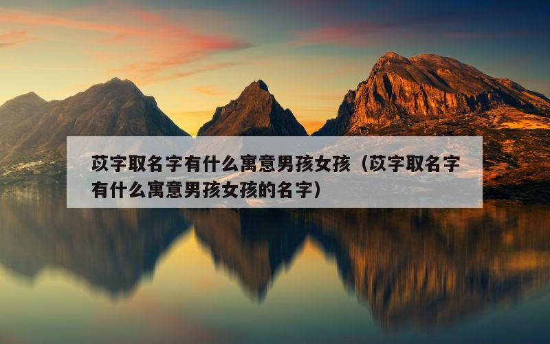 苡字取名字有什么寓意男孩女孩（苡字取名字有什么寓意男孩女孩的名字）
