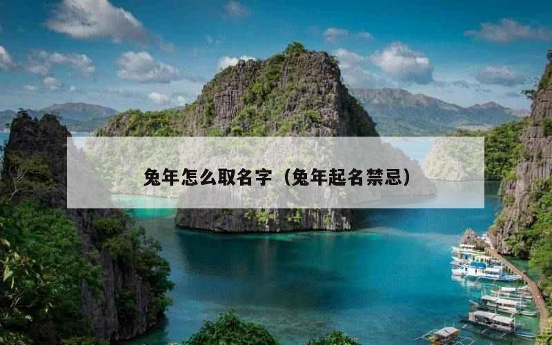 兔年怎么取名字（兔年起名禁忌）