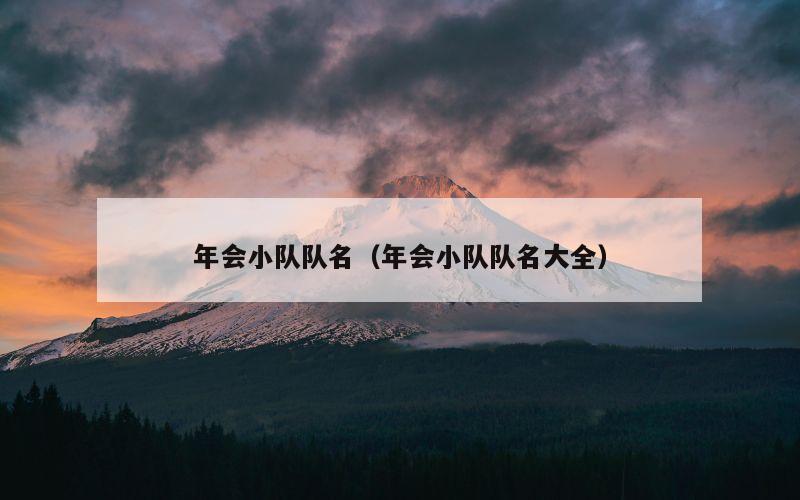 年会小队队名（年会小队队名大全）