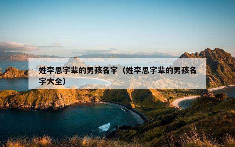 姓李思字辈的男孩名字（姓李思字辈的男孩名字大全）