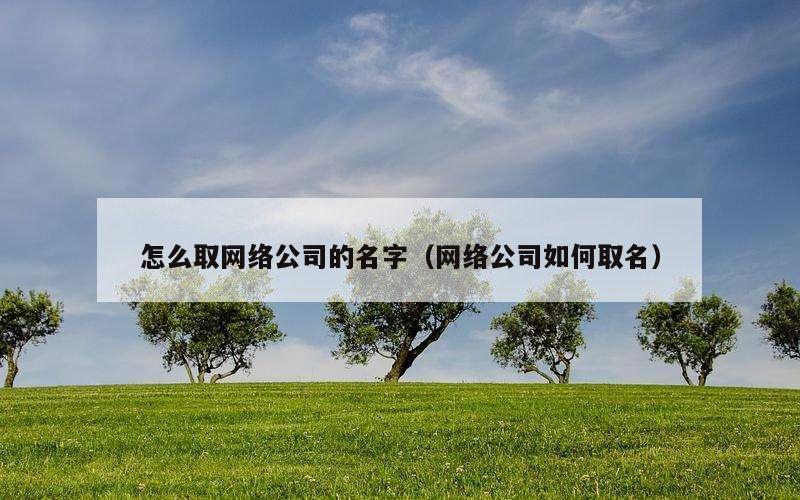 怎么取网络公司的名字（网络公司如何取名）