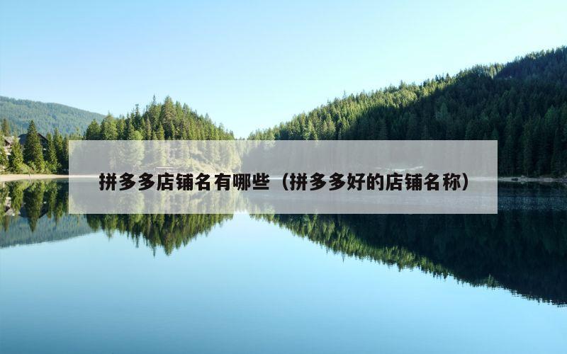 拼多多店铺名有哪些（拼多多好的店铺名称）
