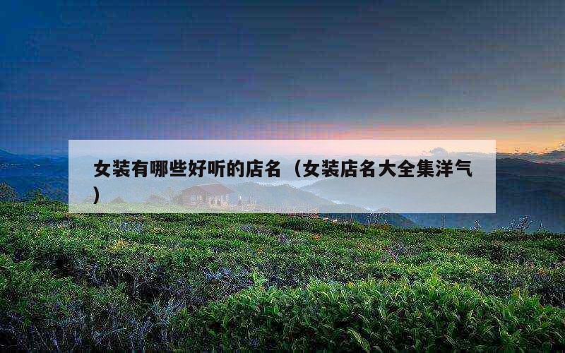 女装有哪些好听的店名（女装店名大全集洋气）