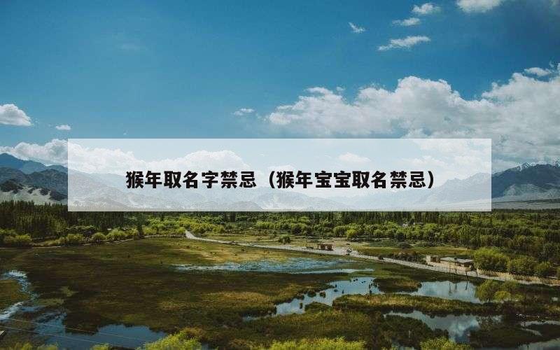 猴年取名字禁忌（猴年宝宝取名禁忌）