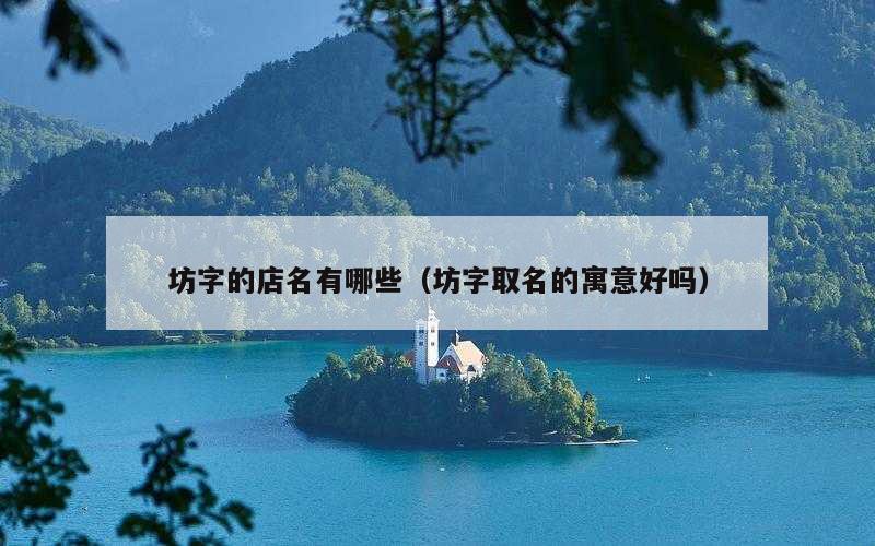 坊字的店名有哪些（坊字取名的寓意好吗）
