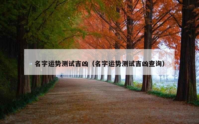 名字运势测试吉凶（名字运势测试吉凶查询）