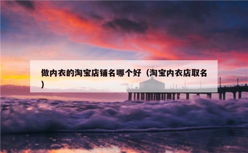 做内衣的淘宝店铺名哪个好（淘宝内衣店取名）