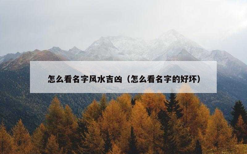 怎么看名字风水吉凶（怎么看名字的好坏）