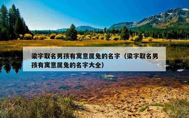 梁字取名男孩有寓意属兔的名字（梁字取名男孩有寓意属兔的名字大全）