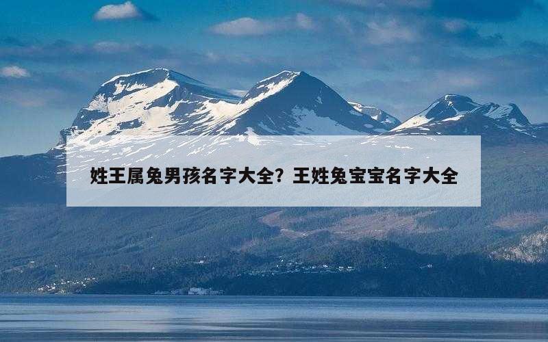 姓王属兔男孩名字大全？王姓兔宝宝名字大全