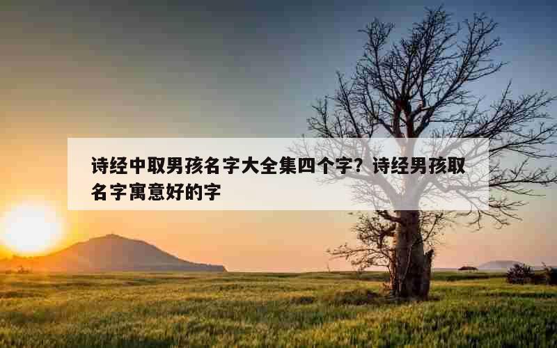 诗经中取男孩名字大全集四个字？诗经男孩取名字寓意好的字