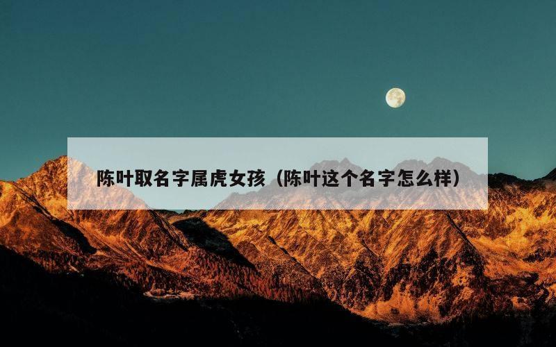 陈叶取名字属虎女孩（陈叶这个名字怎么样）