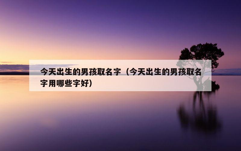 今天出生的男孩取名字（今天出生的男孩取名字用哪些字好）