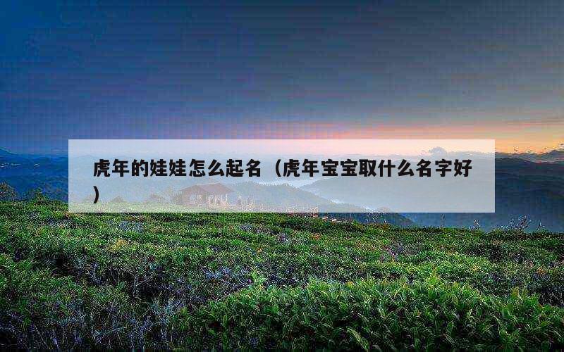 虎年的娃娃怎么起名（虎年宝宝取什么名字好）
