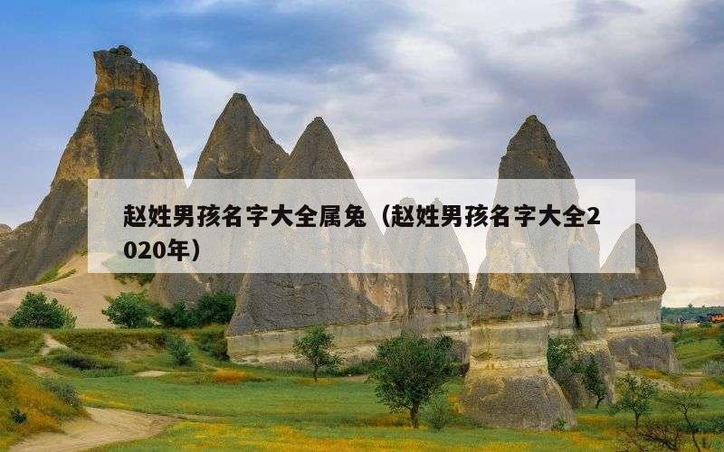 赵姓男孩名字大全属兔（赵姓男孩名字大全2020年）