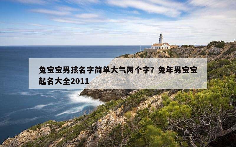 兔宝宝男孩名字简单大气两个字？兔年男宝宝起名大全2011