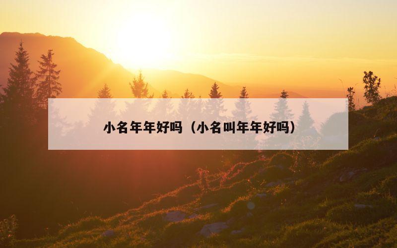 小名年年好吗（小名叫年年好吗）