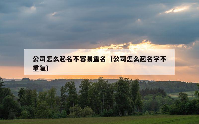 公司怎么起名不容易重名（公司怎么起名字不重复）