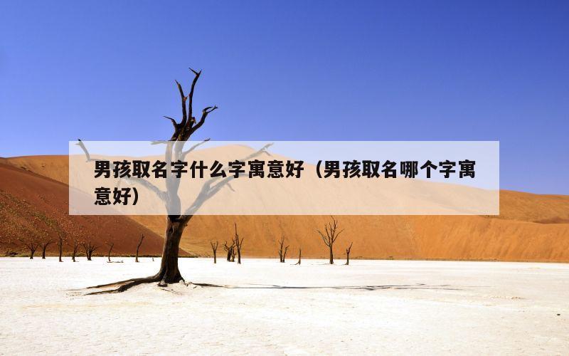 男孩取名字什么字寓意好（男孩取名哪个字寓意好）