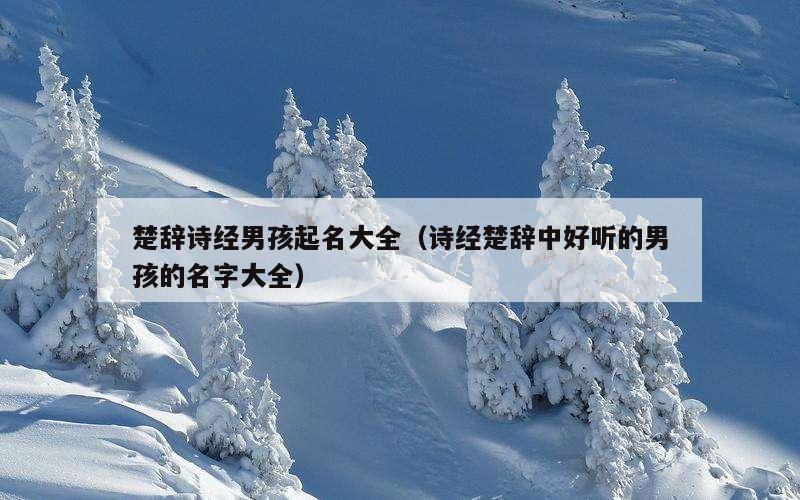 楚辞诗经男孩起名大全（诗经楚辞中好听的男孩的名字大全）