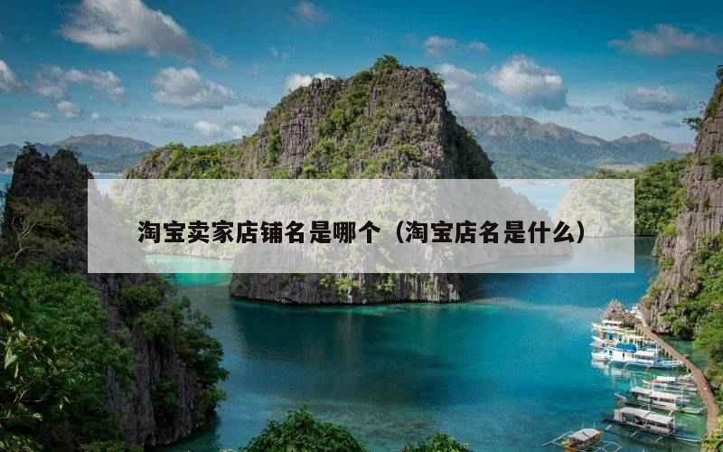 淘宝卖家店铺名是哪个（淘宝店名是什么）
