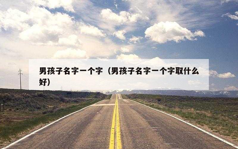 男孩子名字一个字（男孩子名字一个字取什么好）