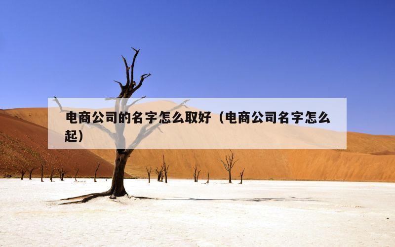 电商公司的名字怎么取好（电商公司名字怎么起）