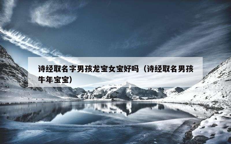 诗经取名字男孩龙宝女宝好吗（诗经取名男孩牛年宝宝）