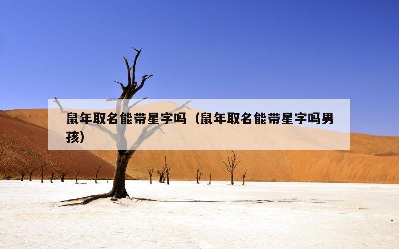 鼠年取名能带星字吗（鼠年取名能带星字吗男孩）