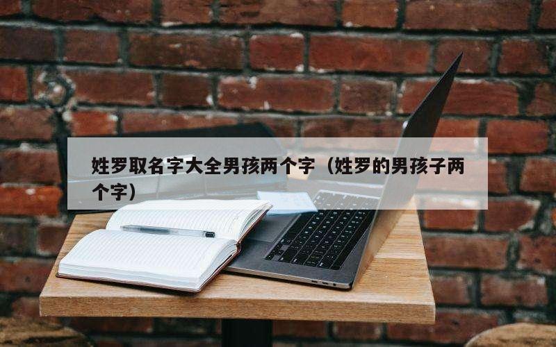 姓罗取名字大全男孩两个字（姓罗的男孩子两个字）